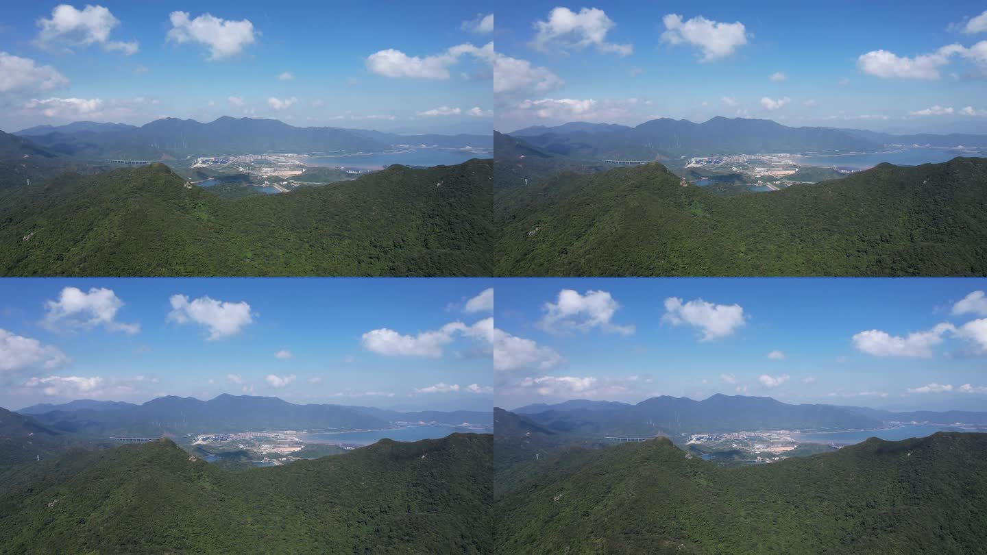 森林大山