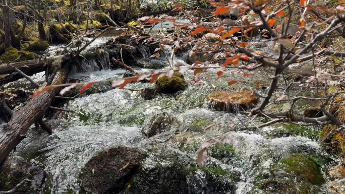 山间溪流 高山溪流 水流声