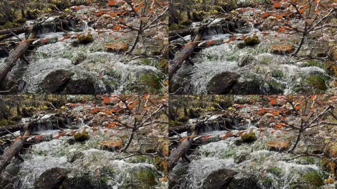 山间溪流 高山溪流 水流声