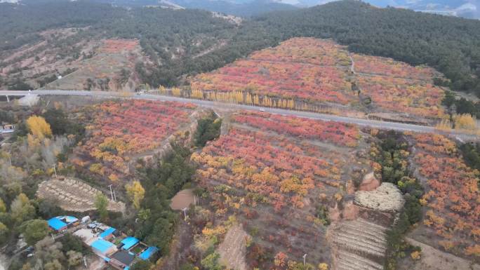 建平县牛河梁博物馆红山文化