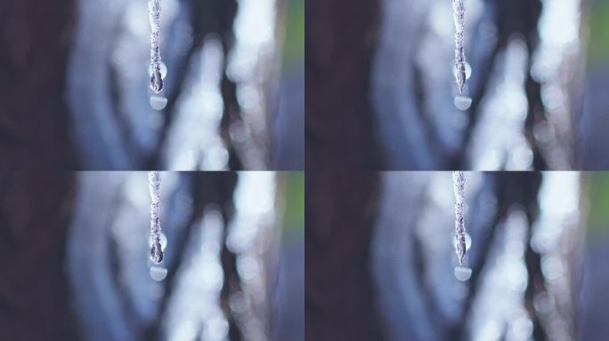 冰雪冰挂晶莹剔透一滴水珠融化水滴特写