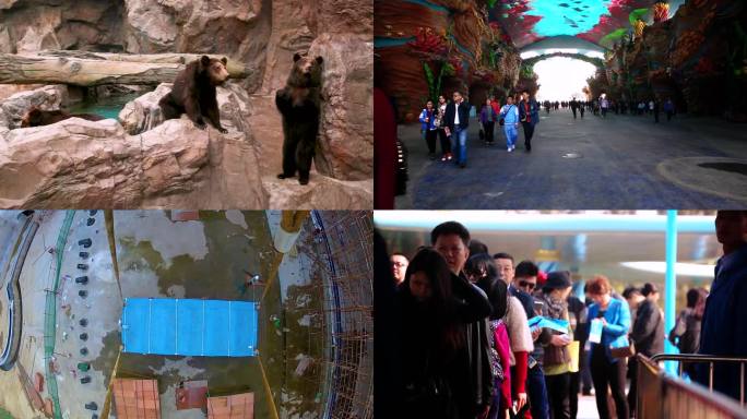 工业制造 制造车间 工人作业 机械智能