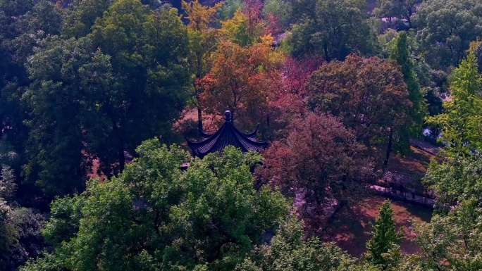 秋日的江苏拙政园中式古典园林