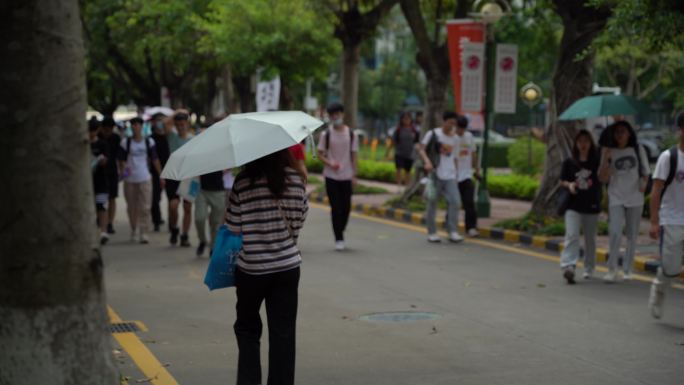 校园 大学生报道 深圳 环境 深职大