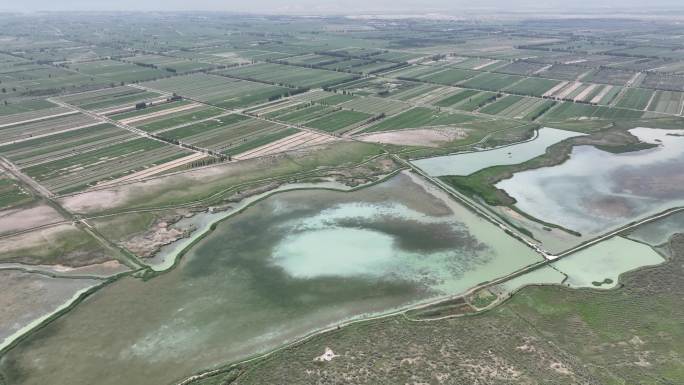 农田水利 玉米制种基地 甘肃张掖