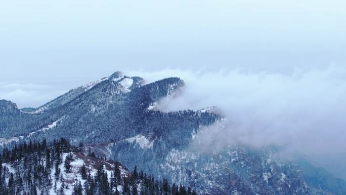 雪山 云海