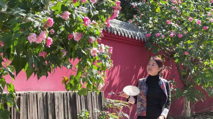 古香古色摇曳生姿 芙蓉花开红墙 女性团扇