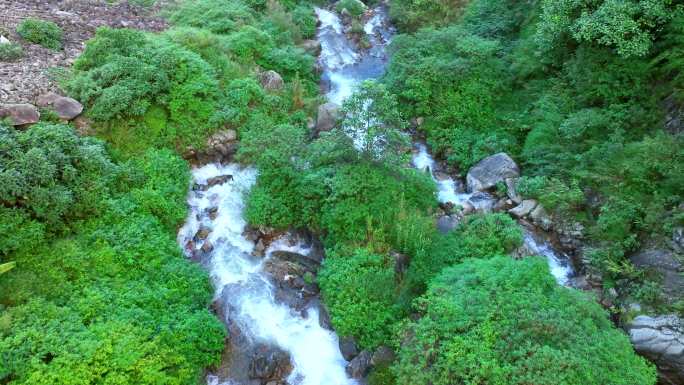 山林清澈溪流 山间溪流 清澈小溪