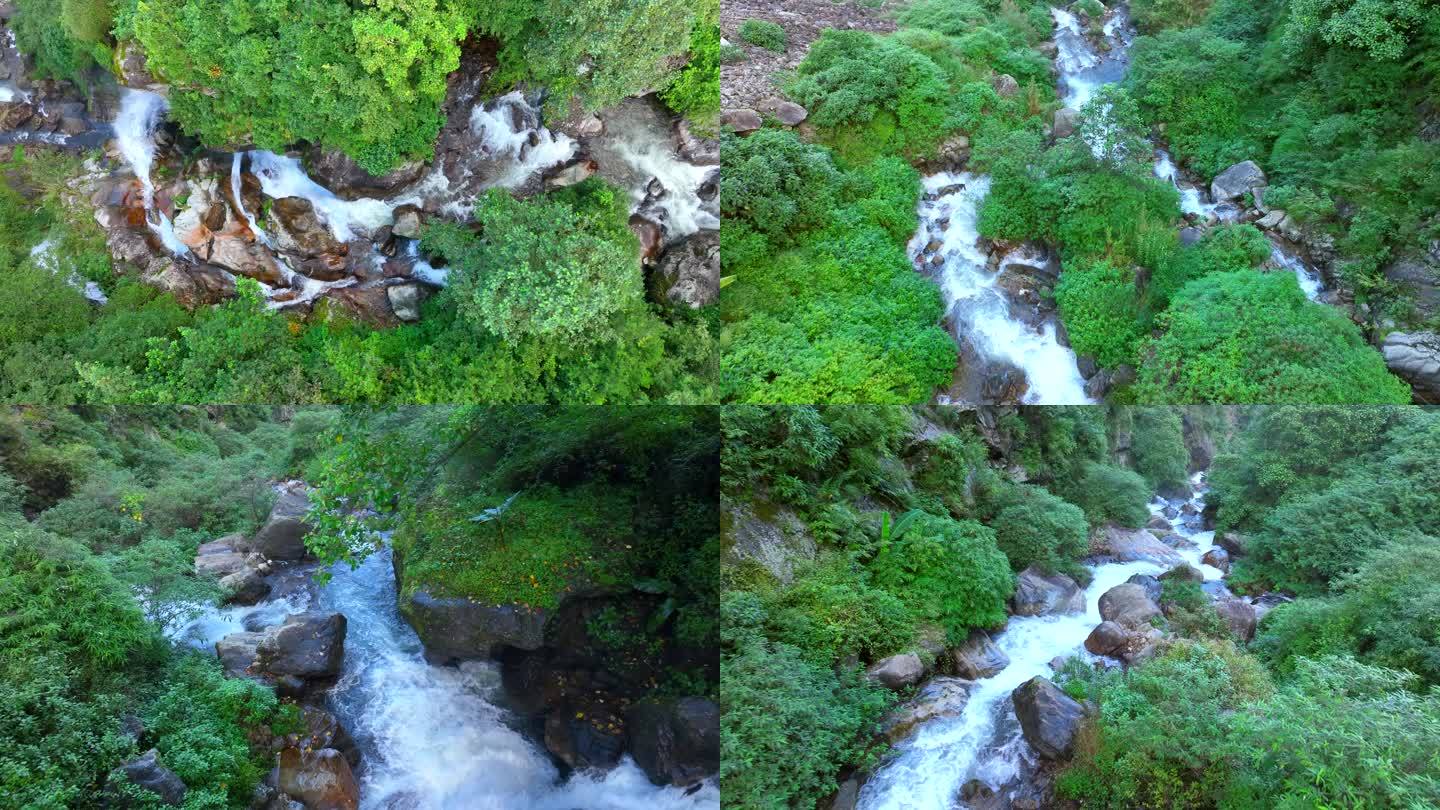 山林清澈溪流 山间溪流 清澈小溪