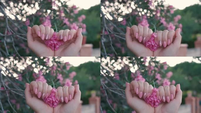 在一段4K慢动作视频中，女性的双手修剪整齐，指甲上点缀着粉红色的花朵。