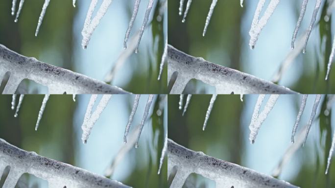 晶莹剔透一滴水冰挂水珠水滴落下-冰雪融化