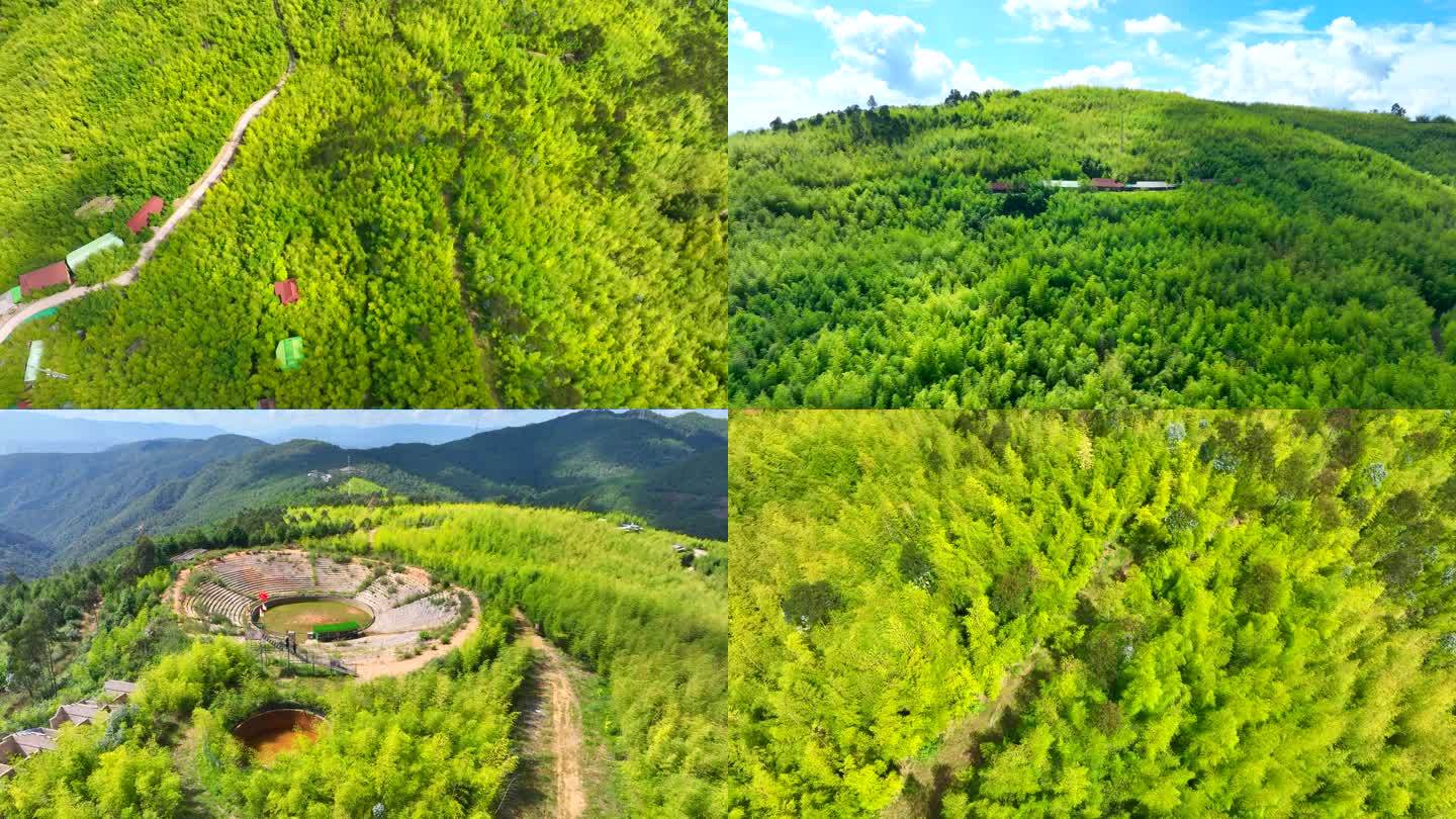 峨山县竹海景区 峨山县玉竹峰海