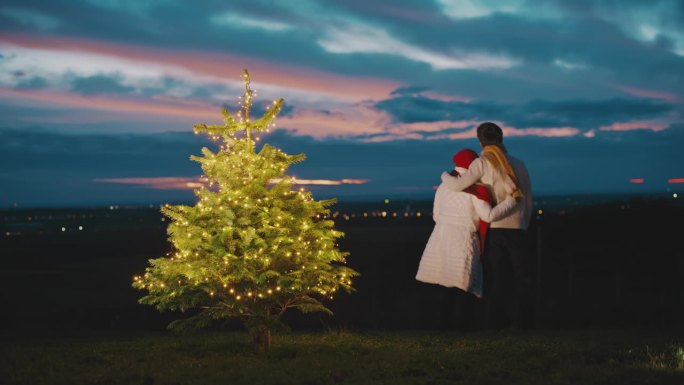 黄昏时分，一对夫妇在小山上的圣诞树旁深情拥吻