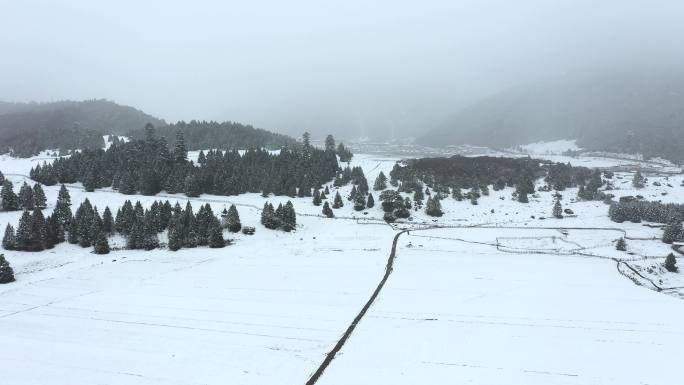 西藏林芝鲁朗林海雪原冬天乡村雪景风光航拍