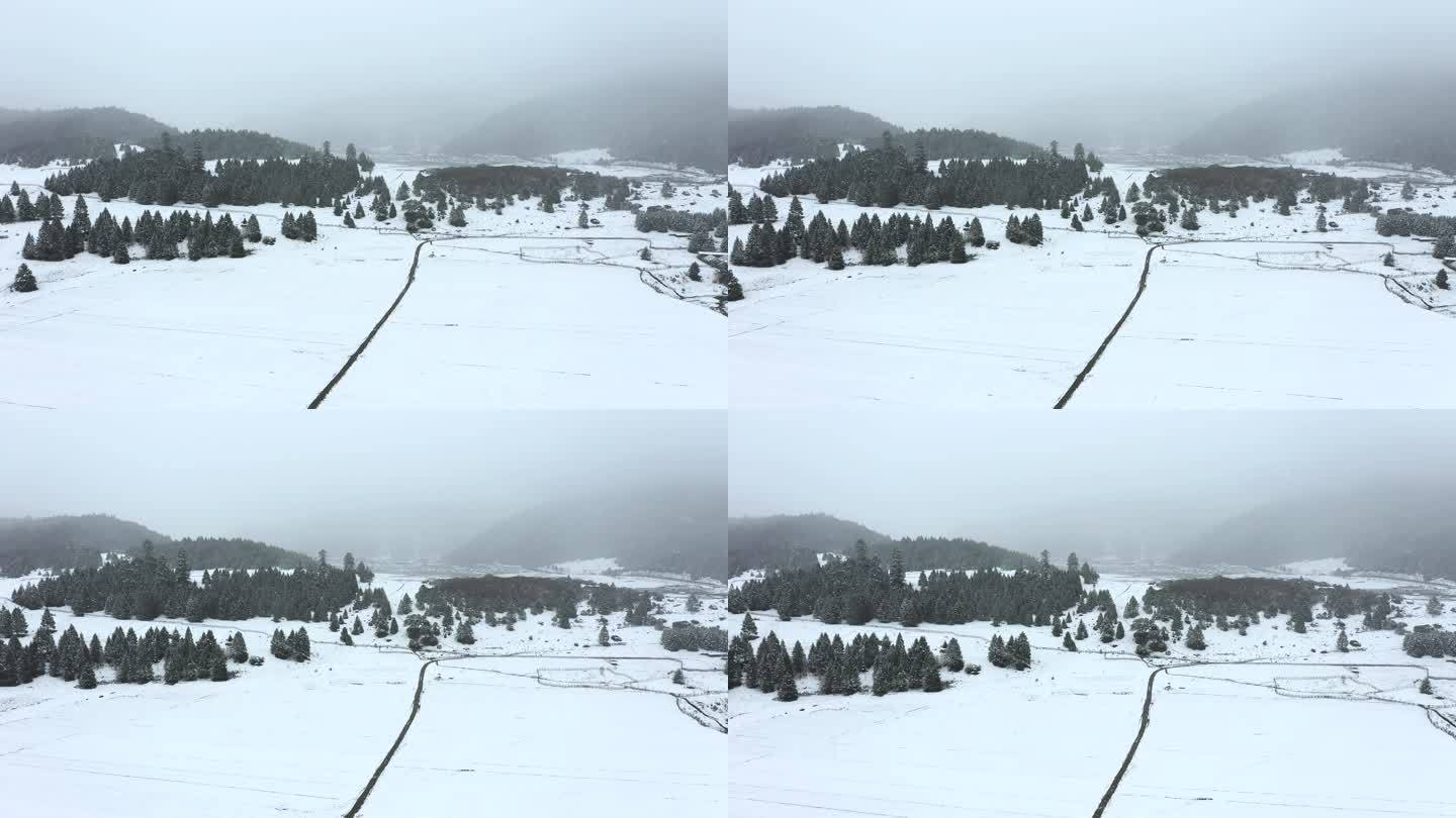 西藏林芝鲁朗林海雪原冬天乡村雪景风光航拍