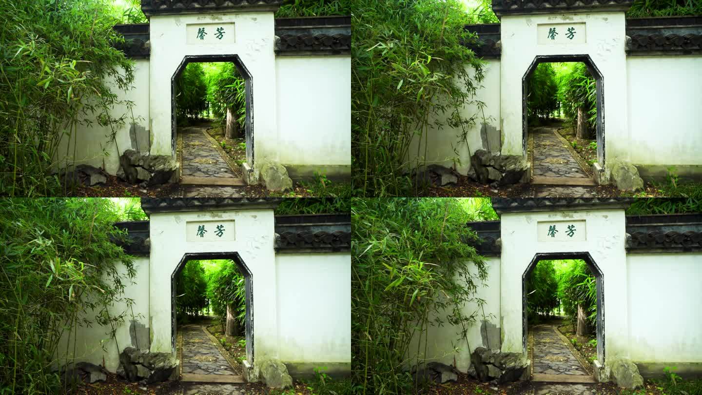 江南园林庭院竹林竹子光影的唯美古风空镜