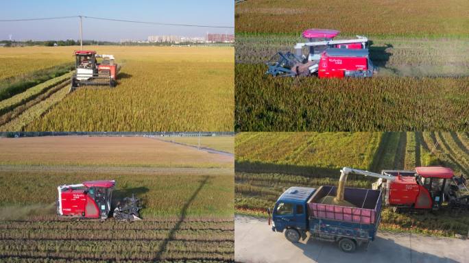 4K航拍南方农村机械收割水稻