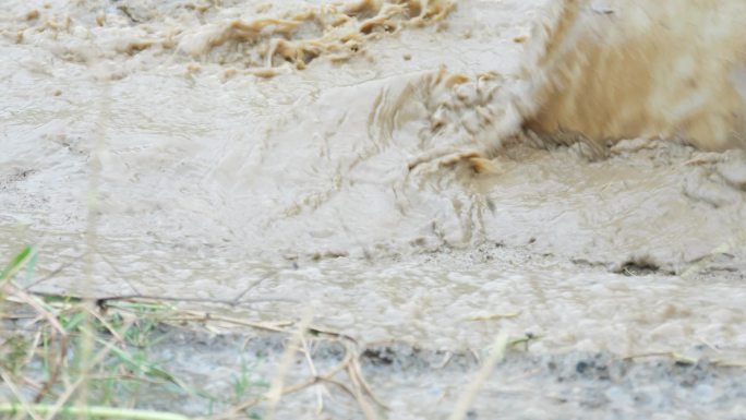 泥巴路 泥水飞溅