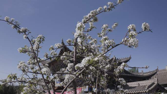 民乐 祁连山 圣天寺 蓝天