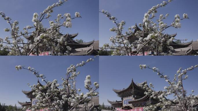 民乐 祁连山 圣天寺 蓝天