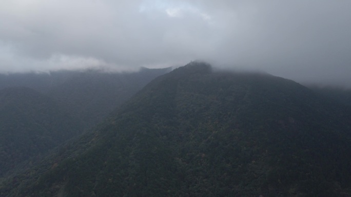 黄岗山 桐木关航拍