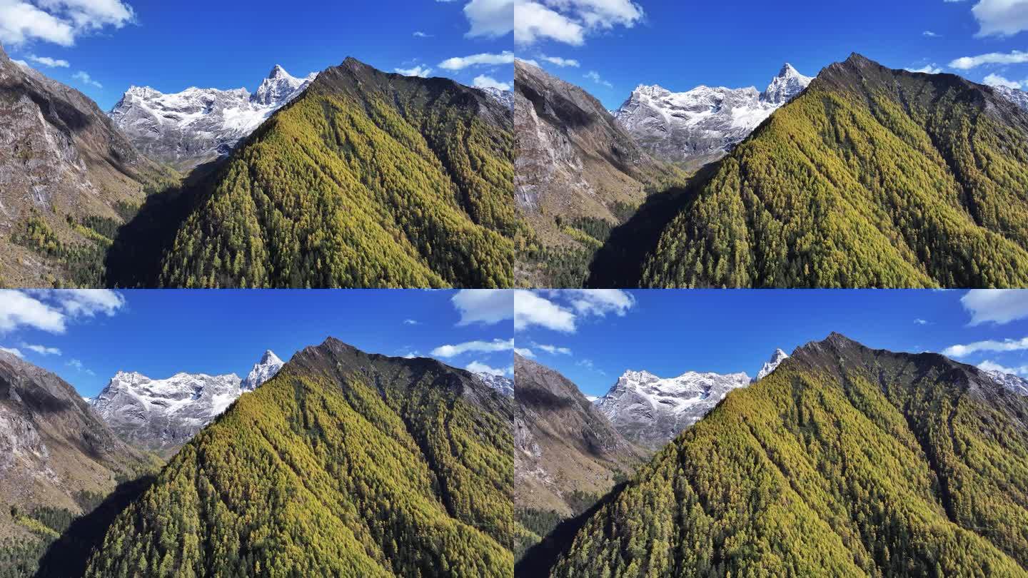 川西高原雪山秋景蓝天白云航拍