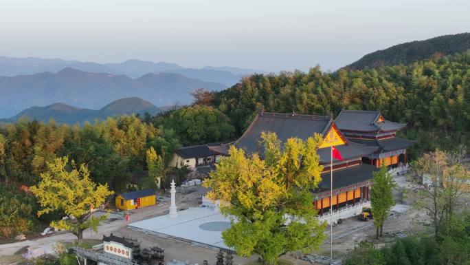 浙江绍兴诸暨次坞杭坞山寺庙古银杏树航拍