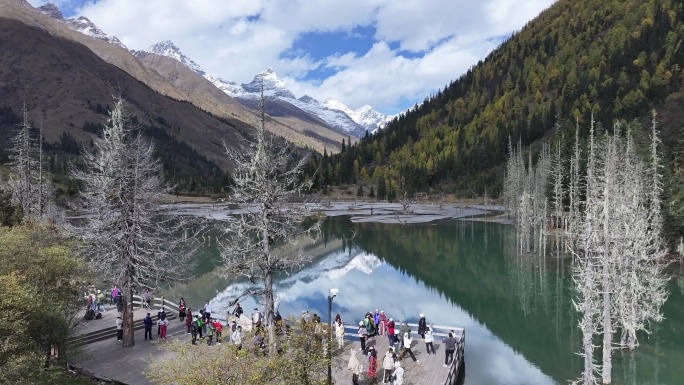 川西阿坝四姑娘山双桥沟秋景航拍