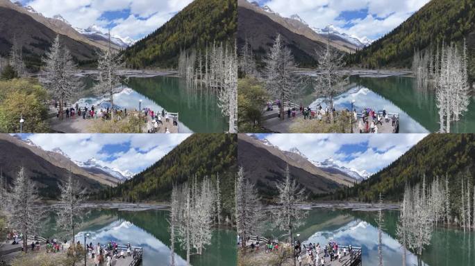 川西阿坝四姑娘山双桥沟秋景航拍