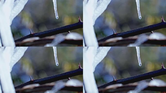 冰雪冰挂晶莹剔透水珠融化水滴特写