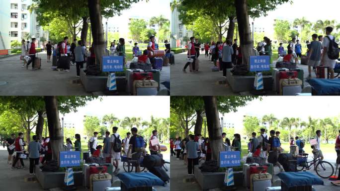 校园 大学生报道 深圳 环境 深职大