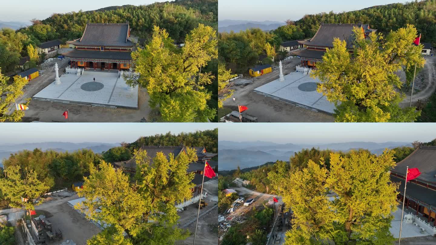 浙江绍兴诸暨次坞店口杭坞山三德寺银杏秋天