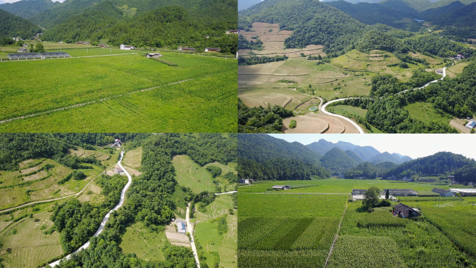 丘陵地带山中村庄农田玉米地 航拍 4k