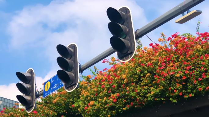 城市街道十字路口红绿灯