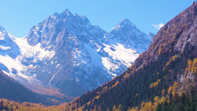 秋天的毕棚沟航拍，雪山下的秋景航拍合集