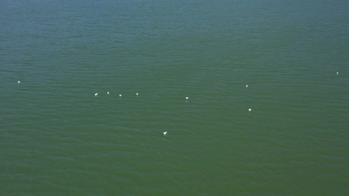 通海杞麓湖航拍