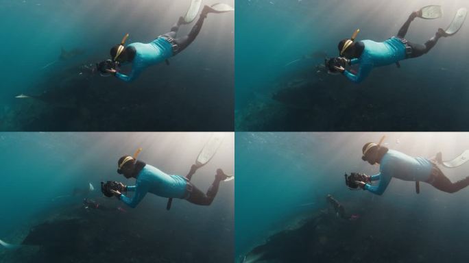 水下摄影师拍摄了模特与蝠鲼一起游泳的照片。自由潜水者用相机拍摄巨型海洋蝠鲼在珊瑚礁上游泳。努沙Pen