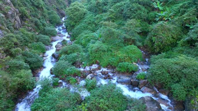 山林清澈溪流 山间溪流 清澈小溪