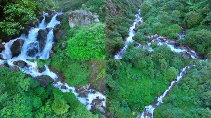 山林清澈溪流 山间溪流 清澈小溪