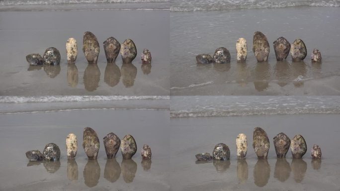 在泰国的海滩上，巨大的蛤壳形成了有趣的阴影。