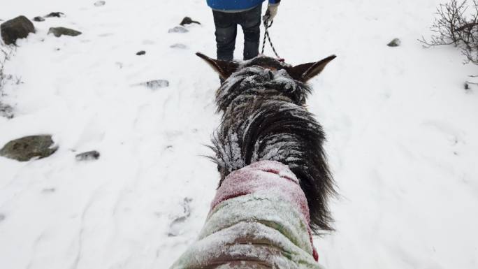 冬天在冰天雪地里骑马的第一人称视角