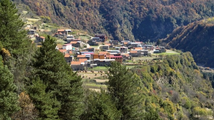 4K航拍川西秋季唯美彩林 秋景