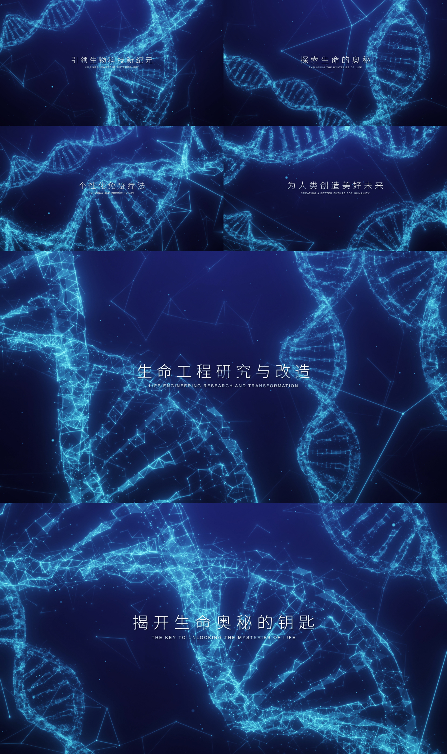 DNA双螺旋元素片头（AE工程）