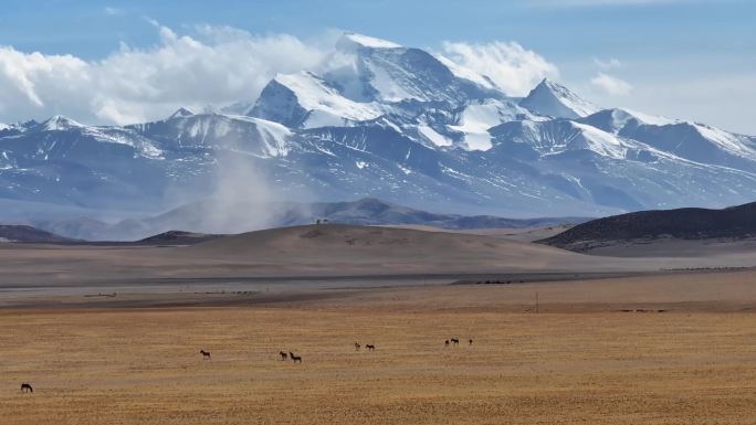 航拍西藏纳木那尼峰和山下的草原