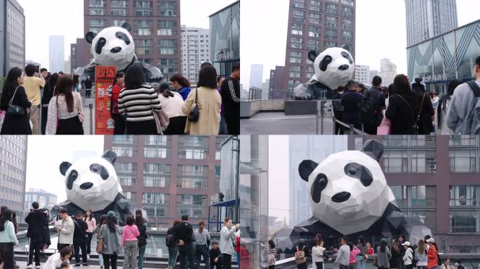 成都ifs国金中心7楼看熊猫拍照