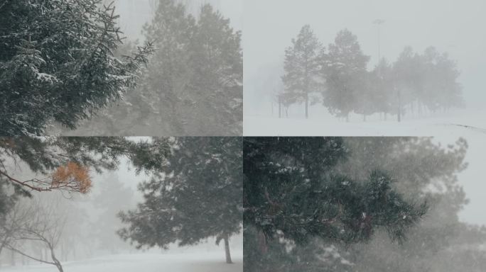 雪景暴风雪暴雪