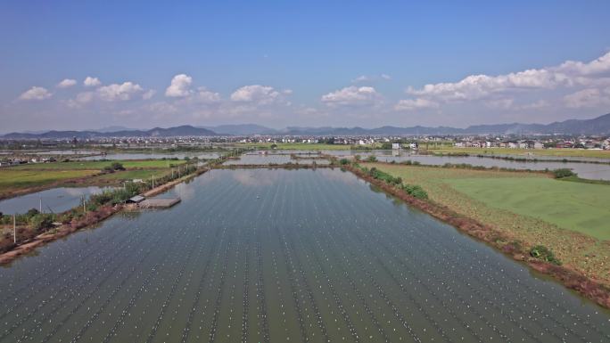 诸暨市山下湖镇 珍珠养殖业