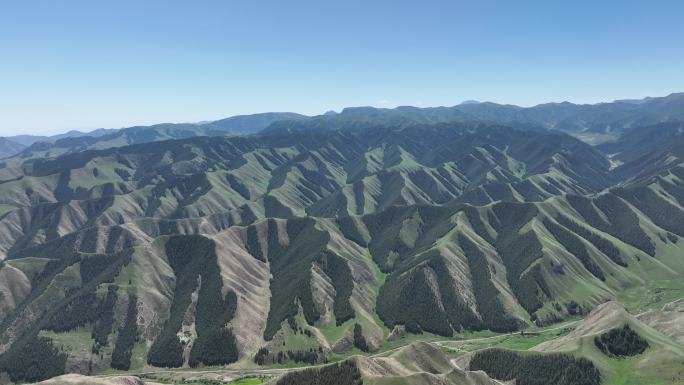 康乐草原 甘肃张掖 肃南县