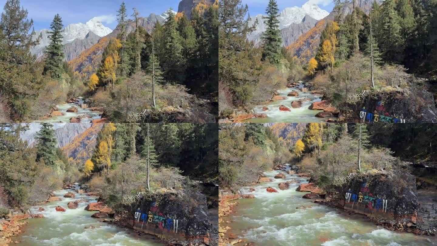 四姑娘山山峰 雪山山峰