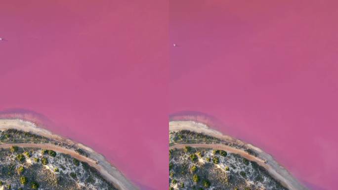 无人机在西澳大利亚中西部地区赫特泻湖上空拍摄的画面